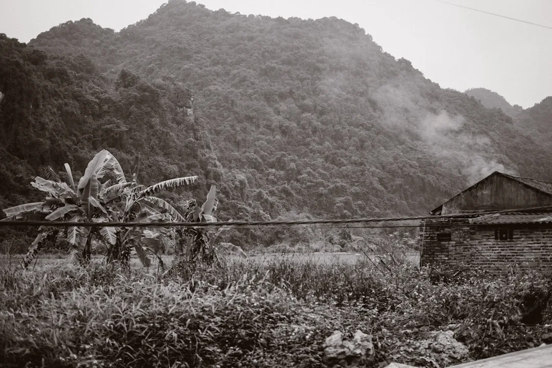 6D Vietnam Hanoi Sapa Halong Bay