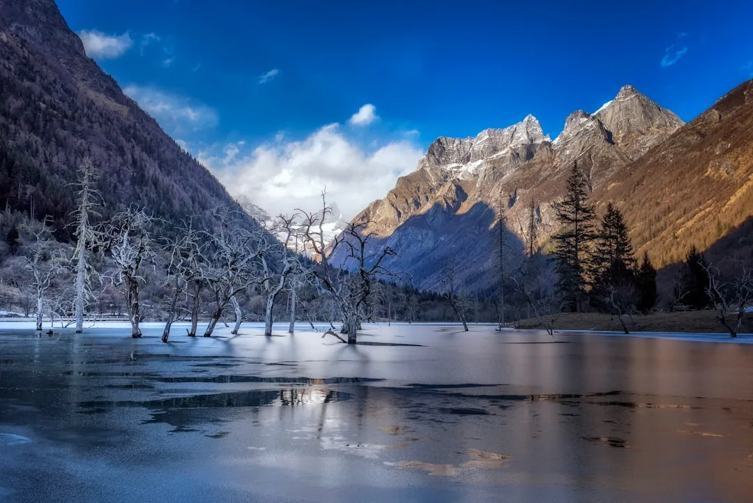 9D Charm of Sichuan by CZ