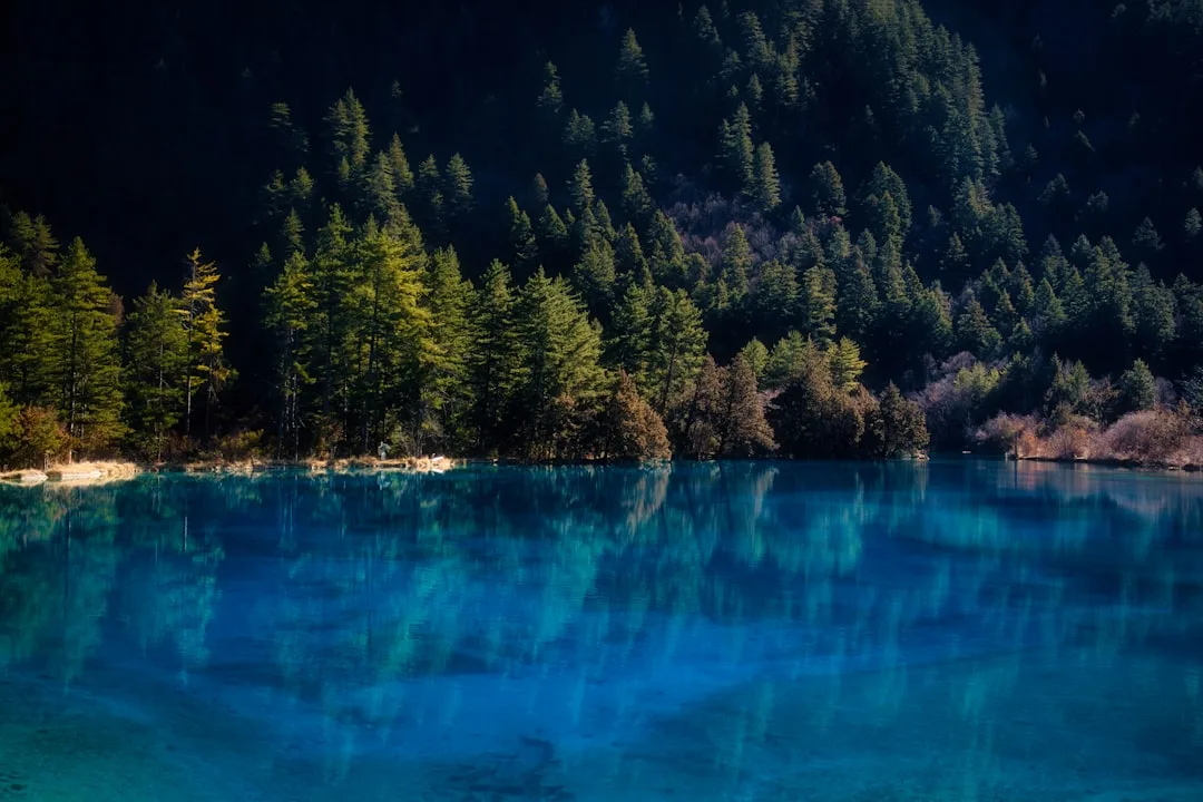8D Jiangxi Zhangjiajie by Xiamen Airlines *high season
